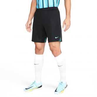 Mens Nike Dri-FIT Acdpr Short kz Graphics