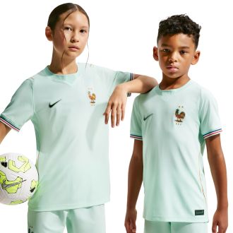 Remera Nike Fff Y Nk Df Jsy Ss Stad Aw Verde Niños